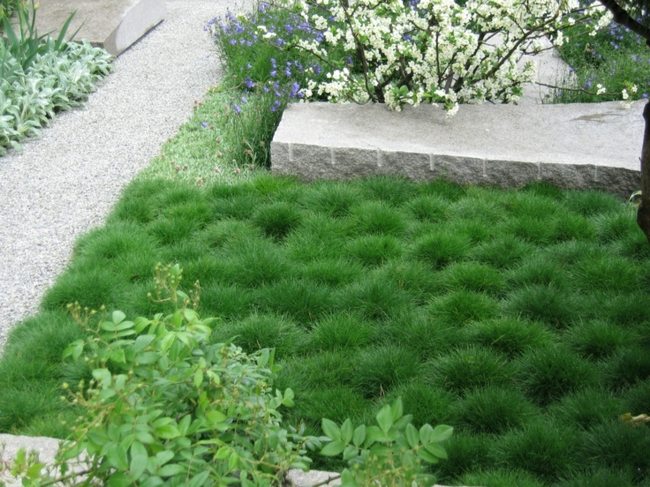 Använd regnvatten i trädgården, gräsmattan, stenvägen