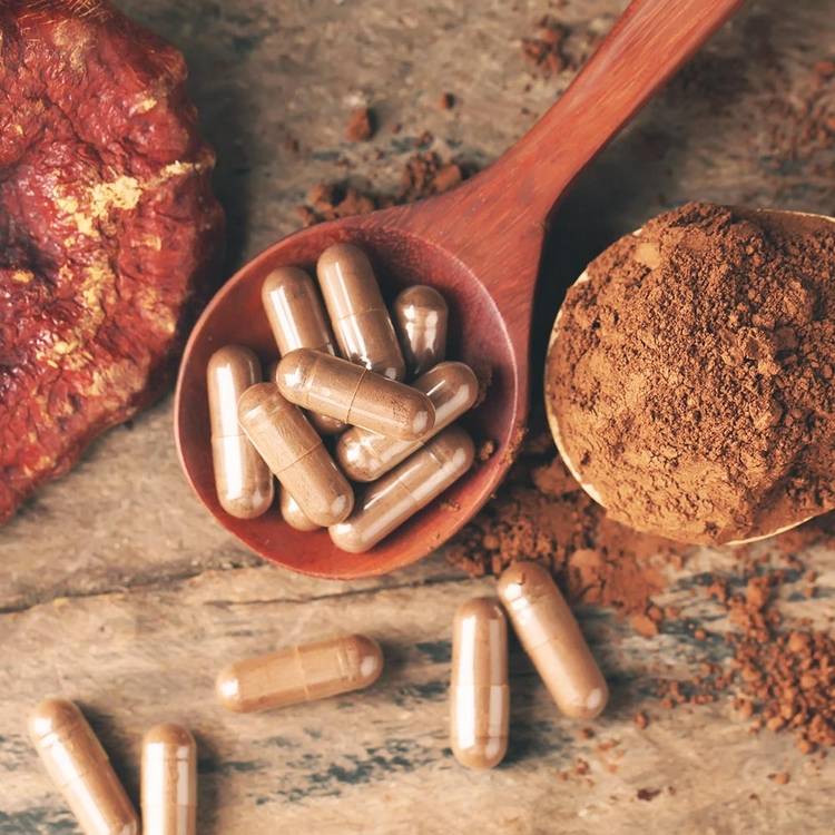 reishi kapslar köpa ganoderma kaffe medicinska svamp hälsofördelar pulver sked