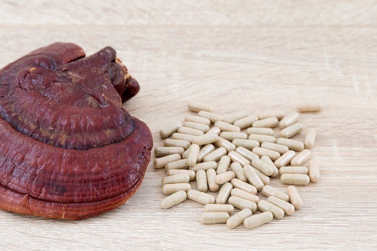 reishi-kapslar-köp-ganoderma-lucidum-kaffe-medicinska-svampar-hälsofördelar-pulver
