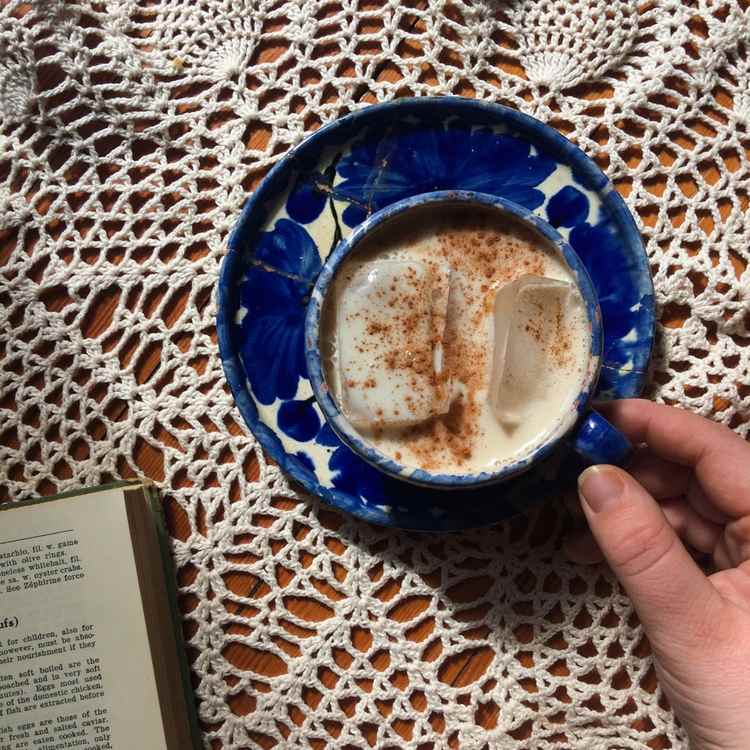 köp reishi svamp ganoderma lucidum kaffe medicinska svampar hälsosamt iskaffe svamp kaffe kopp bok