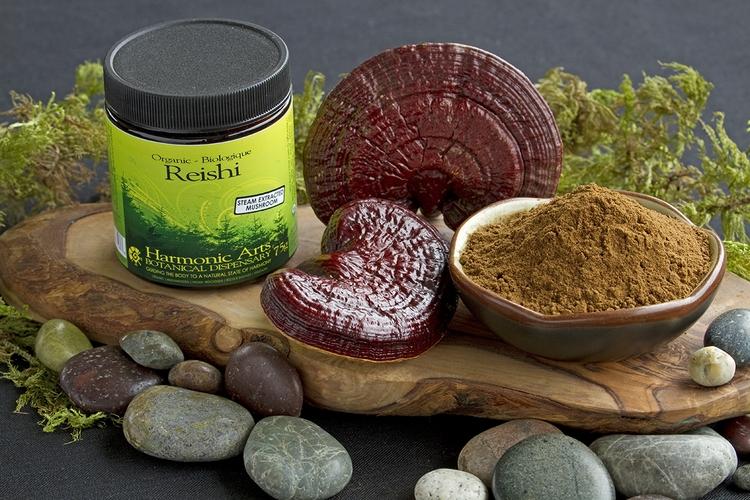 reishi svamp köpa ganoderma lucidum kaffe medicinska svampar hälsofördelar ekologiskt kaffe svamp pulver stenar glas