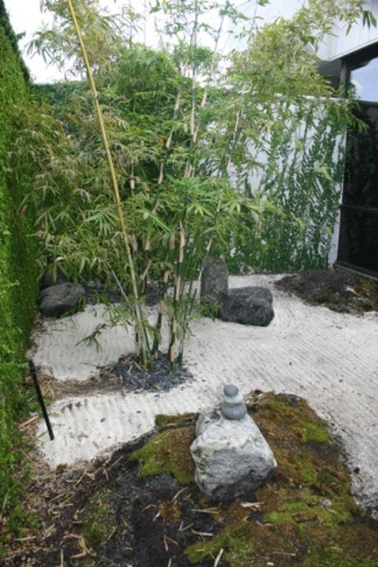 bambu växt idéer trädgård design för zen trädgård