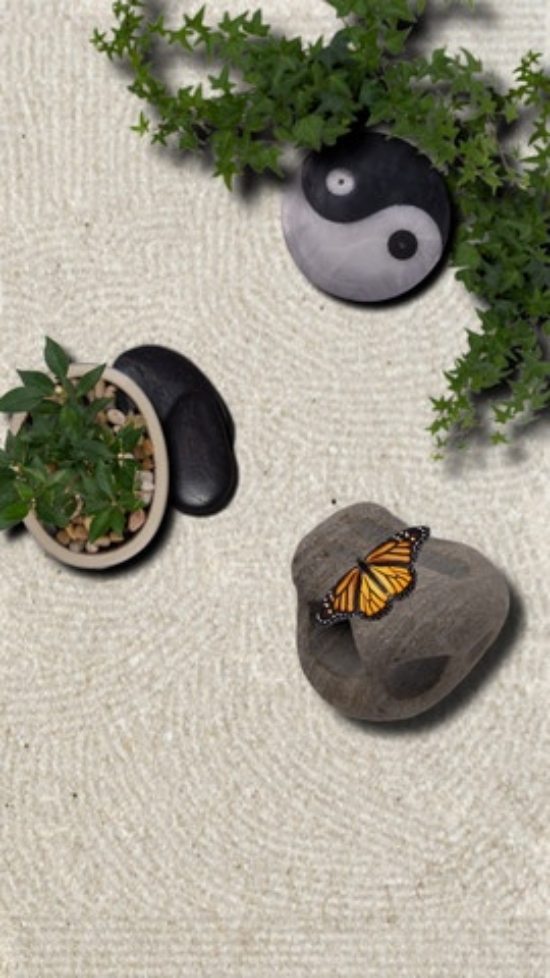 dekorativa trädgård idéer trädgård design för zen trädgård