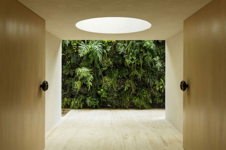 retro-möbler-trädgård-vertikala-frodiga-tropiska-växter