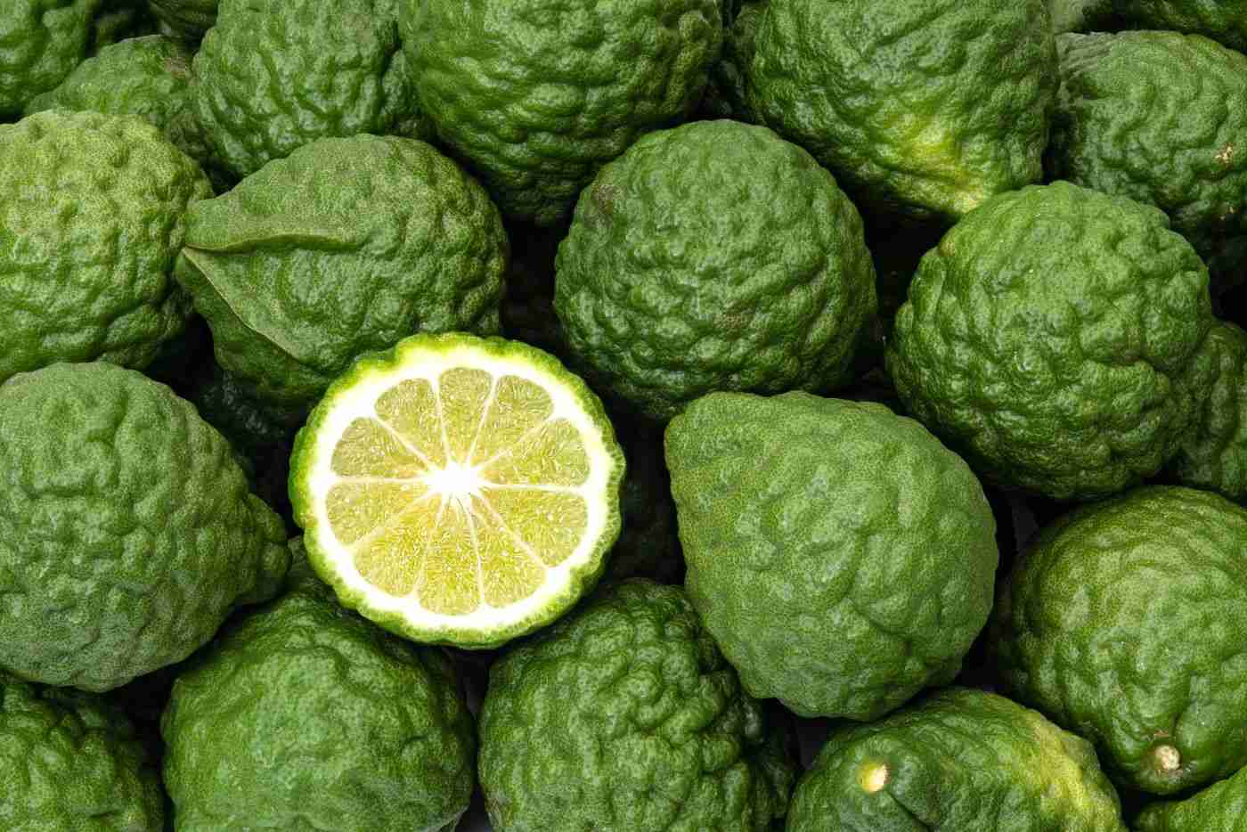Bergamott citronarom och smak av citrusfrukter