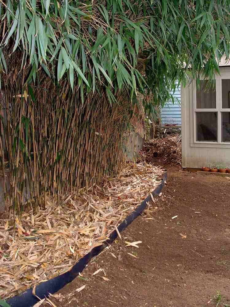 Rhizombarriär för bambu pe-hd-folie-träflis-gröna-blad-trädgård
