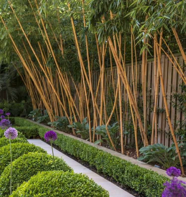 Rhizombarriär för bambubuskar-trädgårdsstaket-trädgårdsdesign