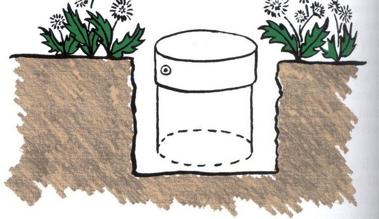 rhizom-barriär-alternativ-murbruk-hinkar-utan-jord-gräv-användning