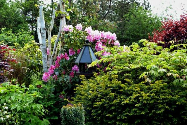 rosa buske fågelhus trädgård design idéer