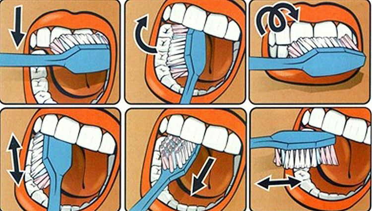 Borsta tänderna korrekt. Svepande teknik tips illustration