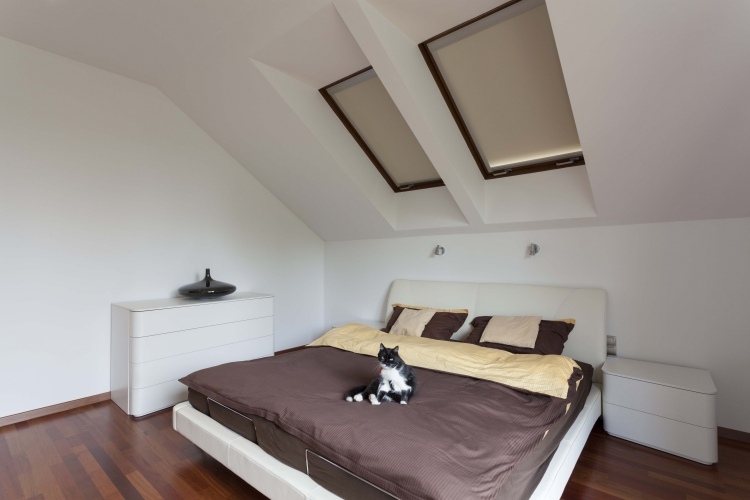 rullgardiner-takfönster-sovrum-katt-säng-vitt-modernt-laminatgolv