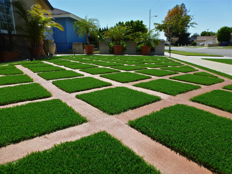 gräsmatta-gräsmatta-trädgård-gräsmatta-fog-idé-minimalistisk