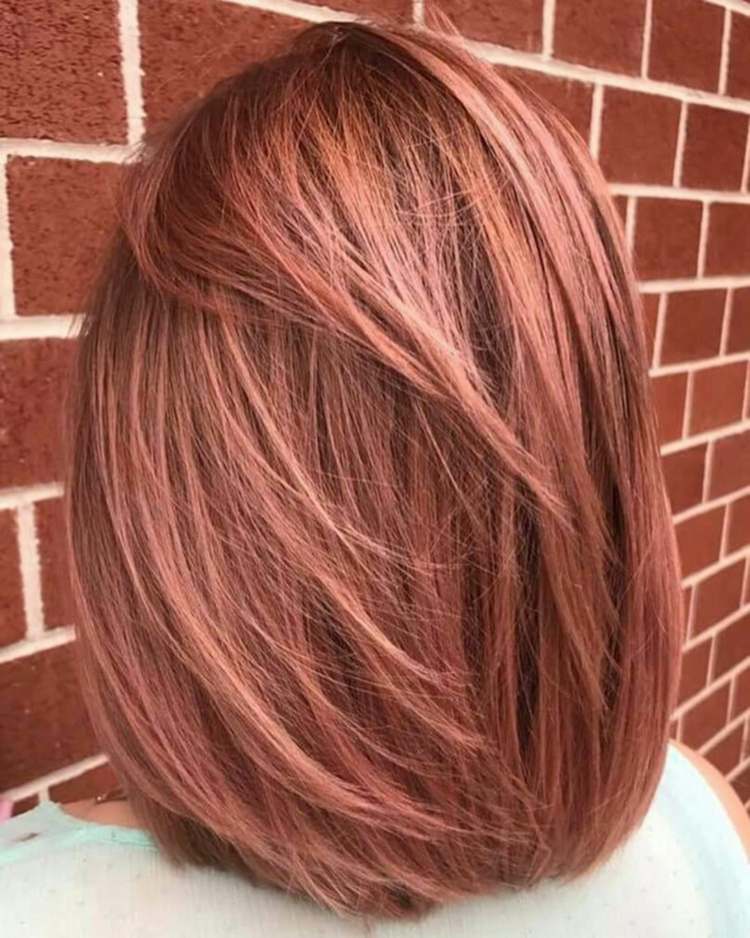 Rose brun röd hårfärg frisyr idéer för brunetter kort hår bob frisyr