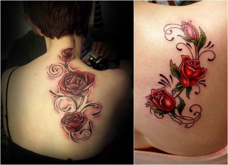 Rose tendril tatuering tillbaka axelblad