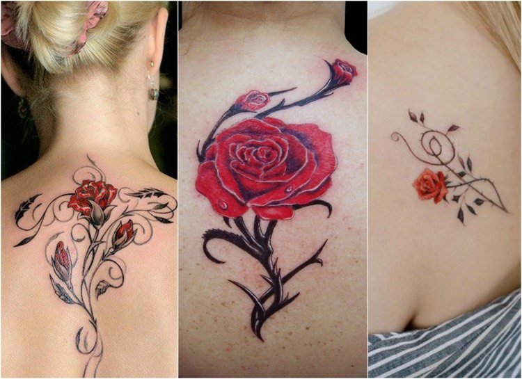 Rose tendril tatuering bak axel