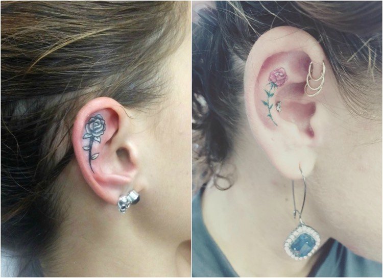 ros-tendril-tatuering-örat-inre-liten
