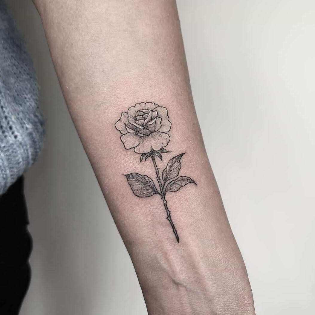 Rose tatuering kvinna underarm små tatuering design tatuering trender