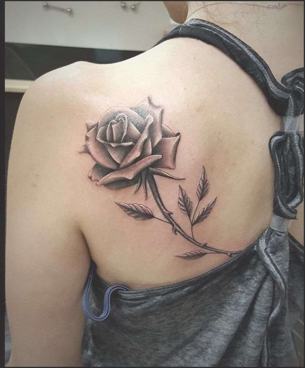 Rose tatuering kvinna axel ros tendrils tatuering design tatuering motor