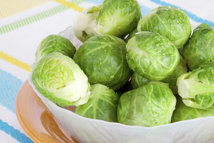 Sallad Brysselkål grön skål bordsduk vård tips trädgård