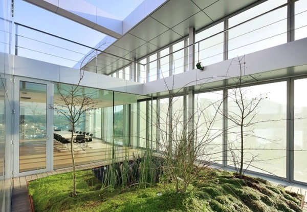 Asiatiskt utseende atmosfär hus glasering puristisk inomhus trädgård