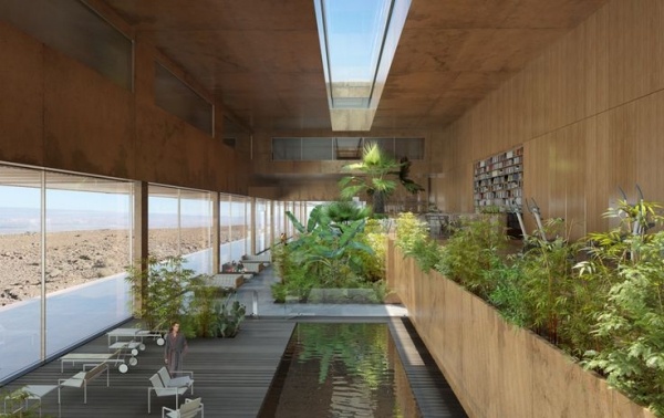 modernt hus takfönster inomhus trädgård exotisk flora