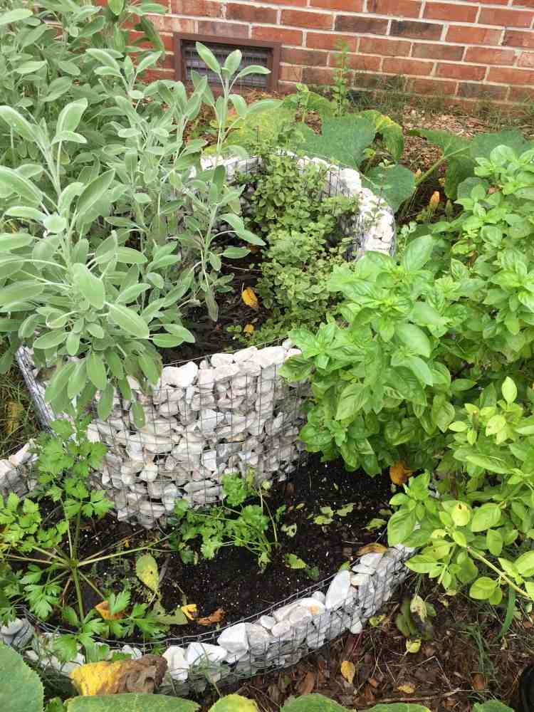 gabions-upphöjd-säng-rund-bygg-själv-spiral-ört trädgård-färsk
