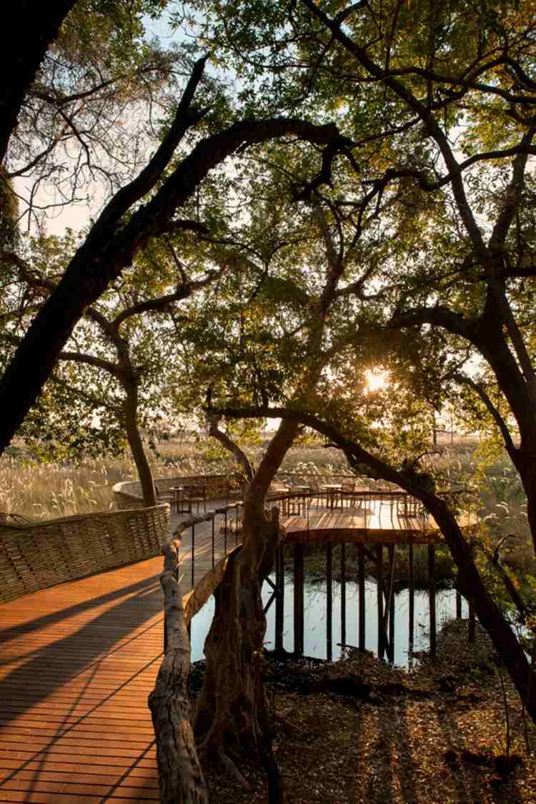 hydda terrass drivved design bro sjö safari