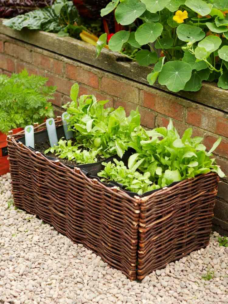 Odla salladsplanter-korg-dekorativa-grönsaks-trädgård-idéer