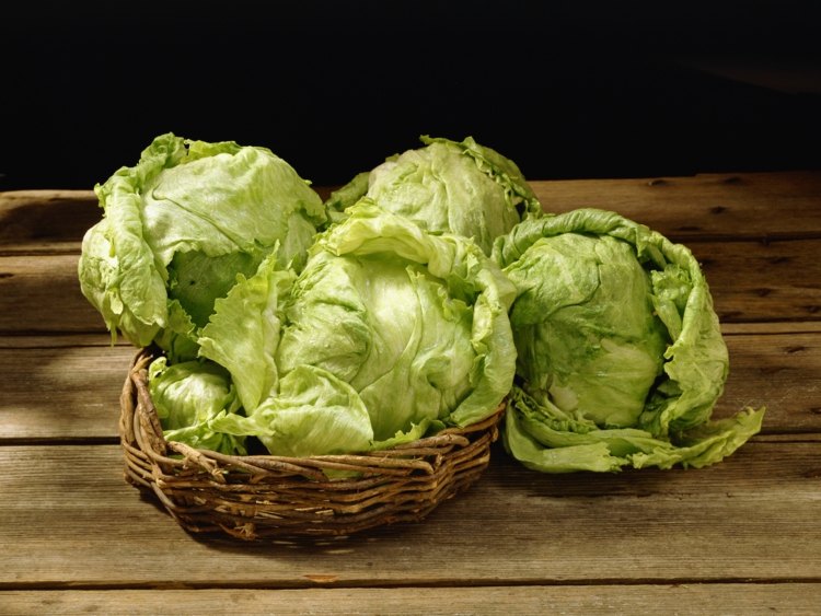 växande-sallad-grönsaks lapp-vård-tips-idéer-vår-sommar-höst