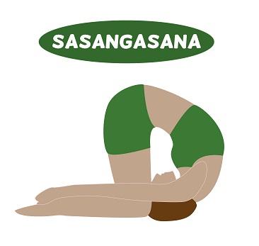 Sasangasana -kani -pose
