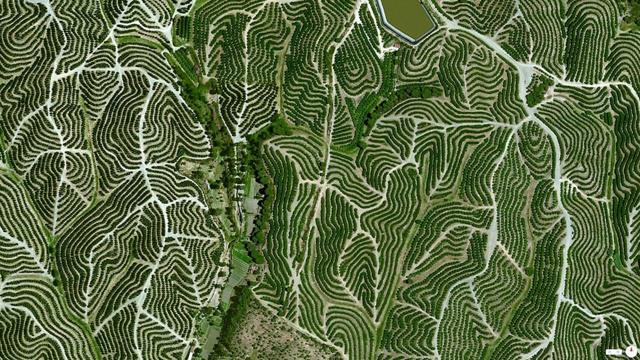 Vinodlingsregioner Huelva spanien satellitbilder intressanta