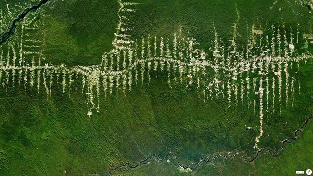 Avskogning Rainforest Para Brasilien satellitbilder