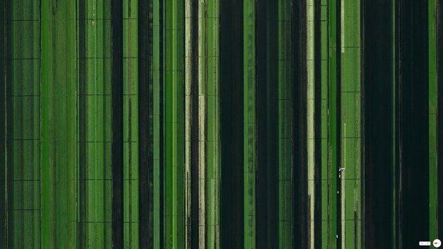Jordbruksutveckling Loxahatchee Florida USA grön satellit