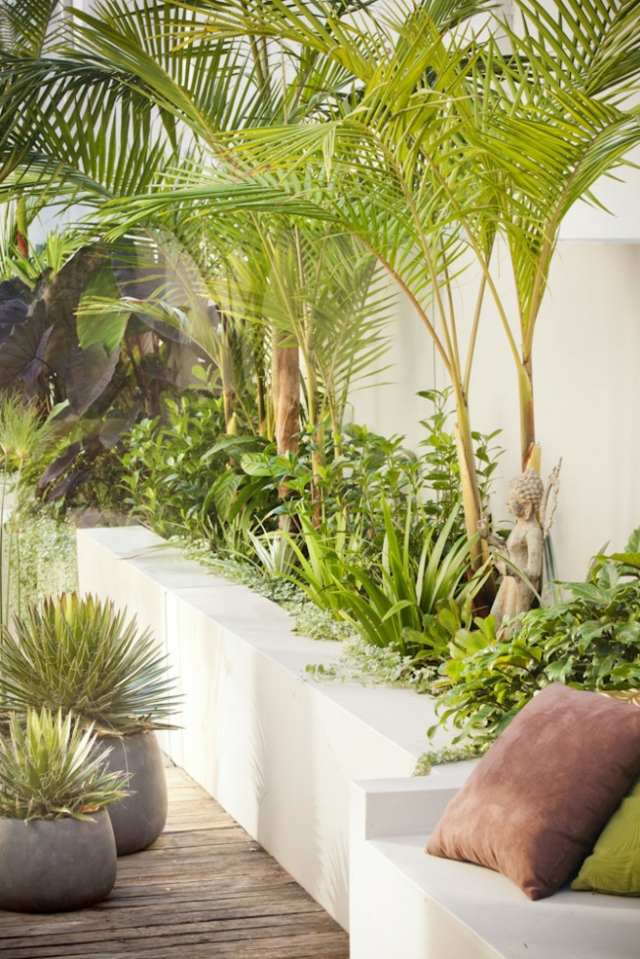 plantera palmer sommar sol trä terrass bänk