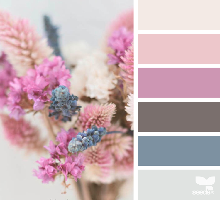 gammal-rosa-färger-palett-kombinera-grå-blå