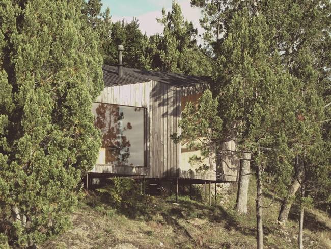 cypress skog ved bastu design med sjöutsikt