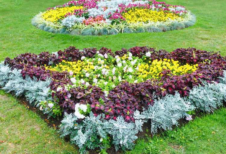 blomsterbäddsläggning-matta-säng-grönt-silver-blad-gräsmatta-diamant