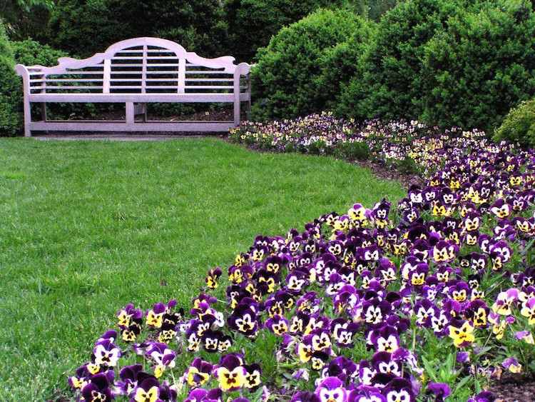 blomsterbäddsläggning-matta-säng-gräsmatta-skugga-buxbom-pensé