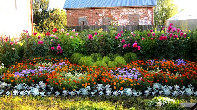 blomsterbäddsläggning-matta-säng-frodig-trädgård-land-trädgård-växt-typer