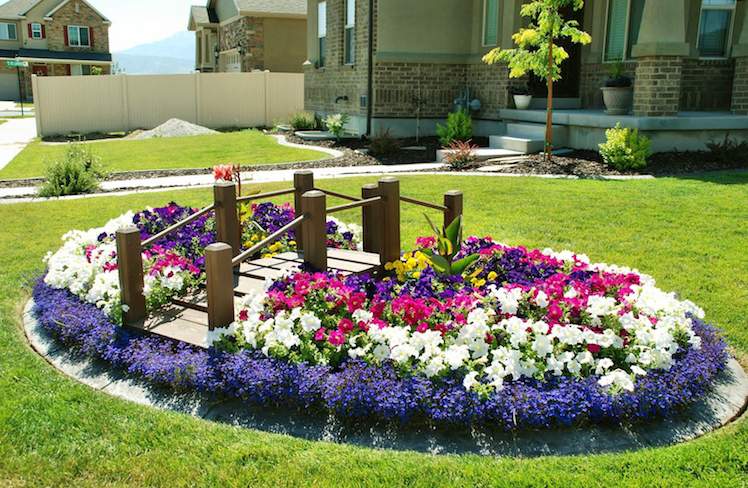 blomsterbäddsläggning-matta-säng-bro-trädgård-dekoration-gräsmatta-petunias.jpg