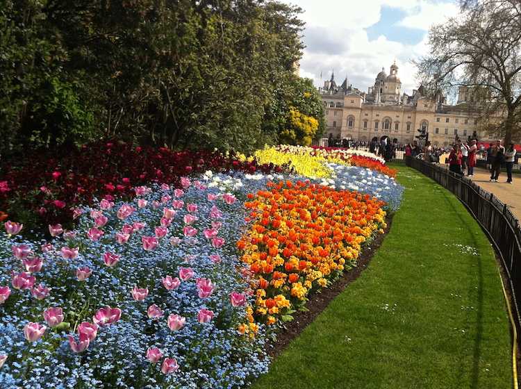 blomsterbäddsläggning-matta-säng-tulpaner-långsträckt-slott-formell-trädgård