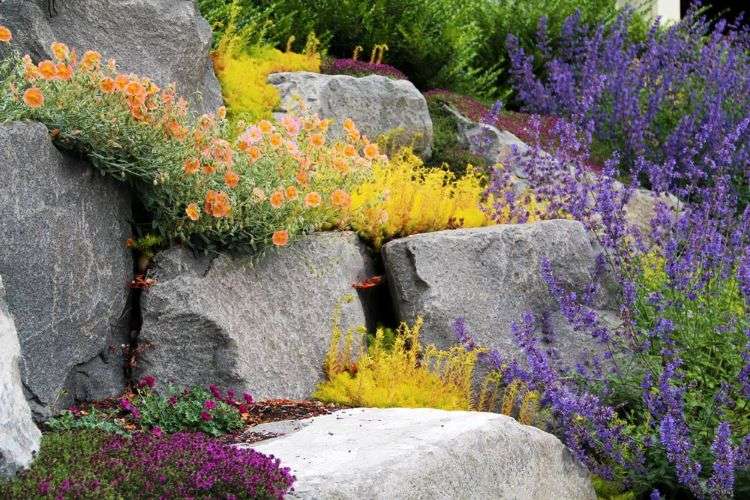 vackra färgkombinationer trädgård färgpalett stenar