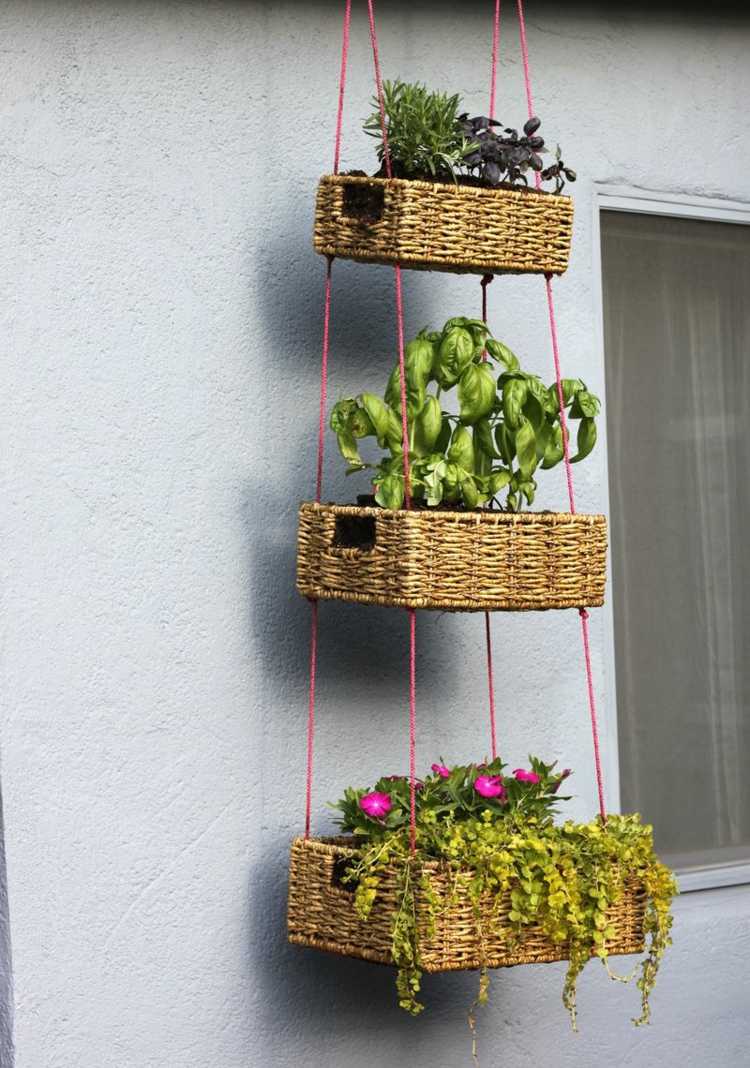 idéer med balkongväxter korgar gröna hängande växter blommar rosa väggdekoration