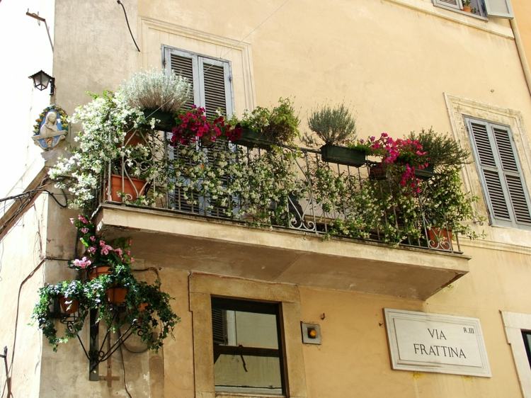 idéer med balkongväxter italien stil blommor vitrosa