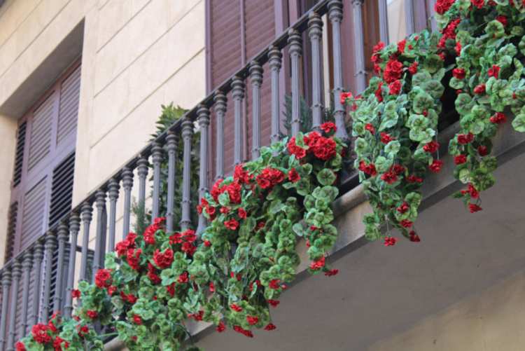 balkong-hängande-växter-röd-blommande-brun-räcke
