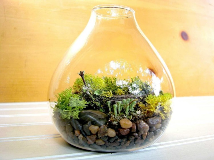 terrarium bygginstruktioner moss design dekoration växter interiör