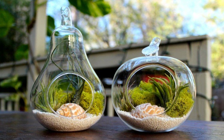 terrarium bygginstruktioner moss sandskal idé lägg på