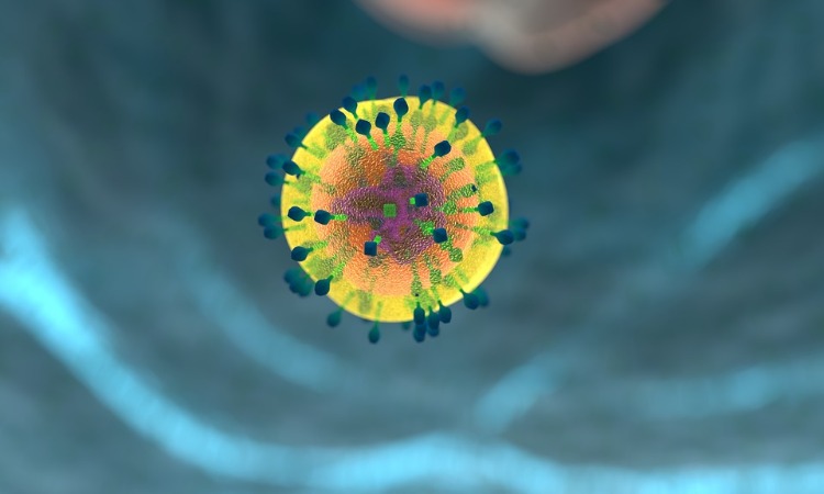 lymfociter som hjälper t-celler vid sjukdomar och immunsvar mot sjukdomar