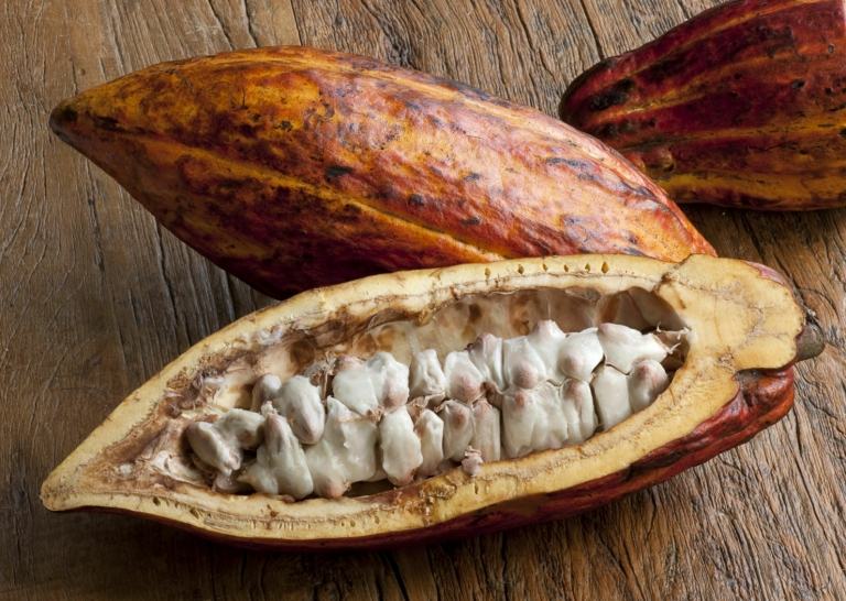 Svart tvål kakaobönor frisk palmolja ansiktsmask hudvård