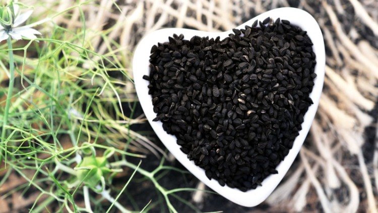 hälsosamt för hjärtat svart kummin i form av frön eller olja ta svart kumminolja upplevelser positiva